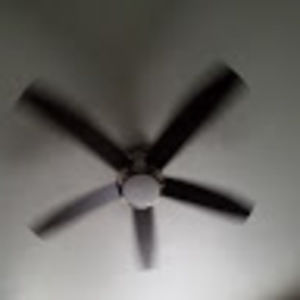 Meet your Posher, Arnold